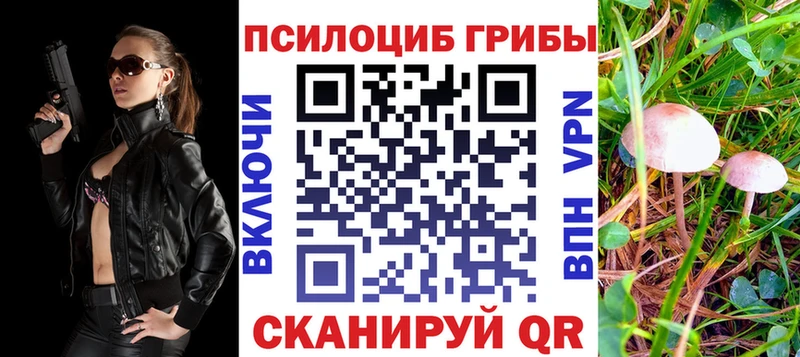 закладки  Кисловодск  Галлюциногенные грибы GOLDEN TEACHER 